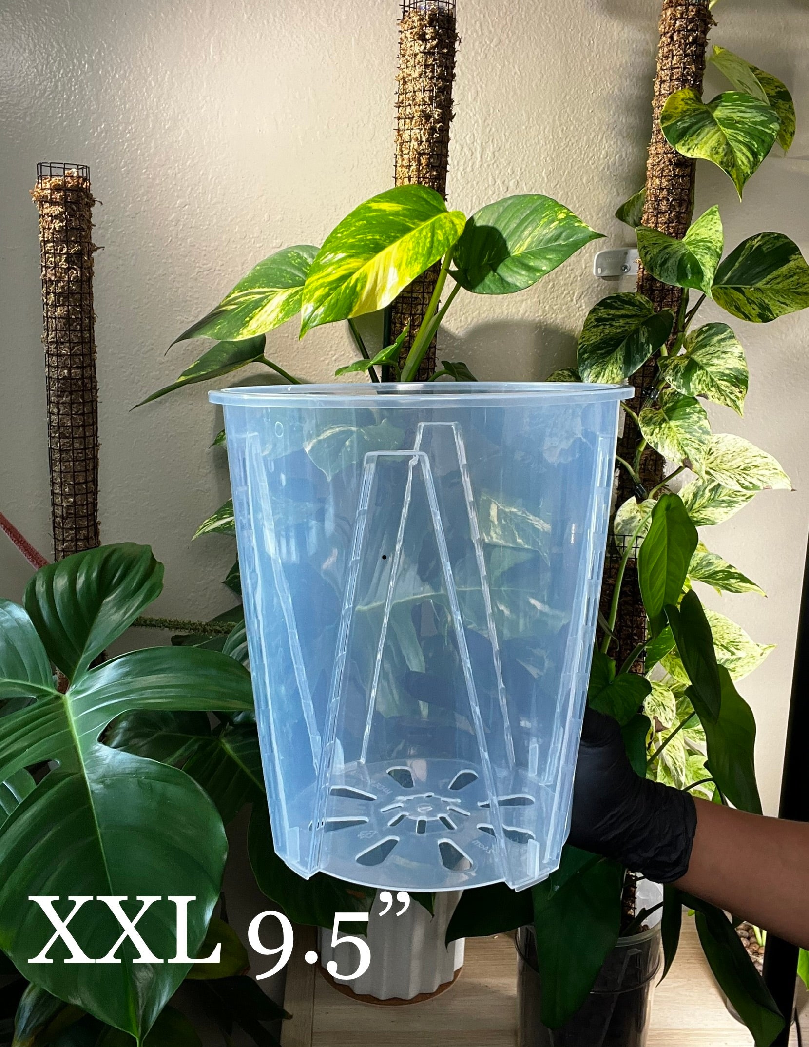 xxl plant pots Thick Plastic Transparent Plant Pot, Sets of 3, 9.5”