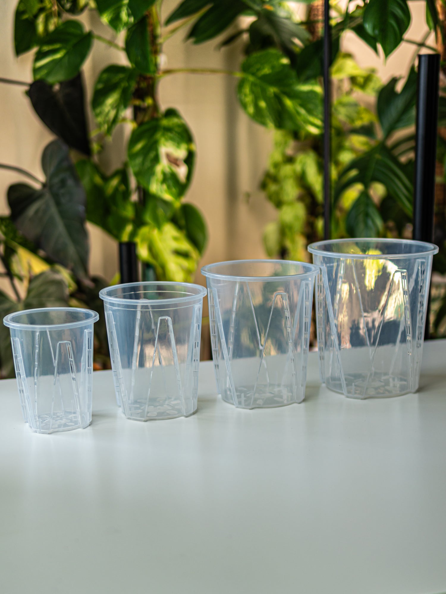 Clear Plant Pots