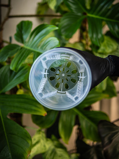 Thick Plastic Transparent Plant Pot, Sets of 5, Small 5.5"