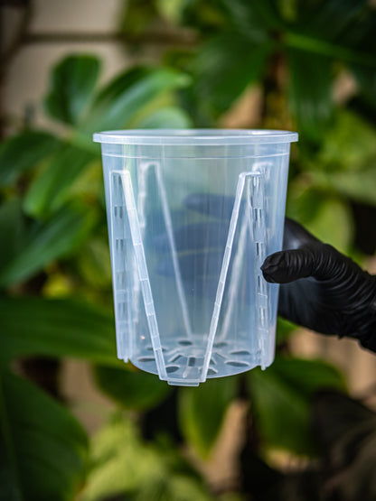 plastic pot plant 5.5 in Thick Plastic Transparent Plant Pot, Sets of 5, Small 5.5" – Plant Loving J