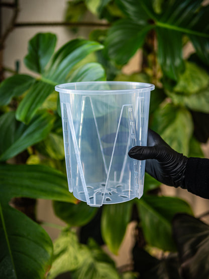 Thick Plastic Transparent Plant Pot, Sets of 5, Medium 6.3"