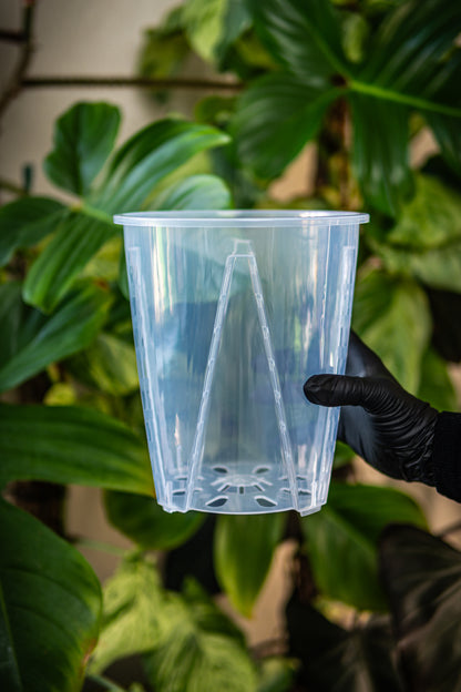 Thick Plastic Transparent Plant Pot, Sets of 5, Large 7"