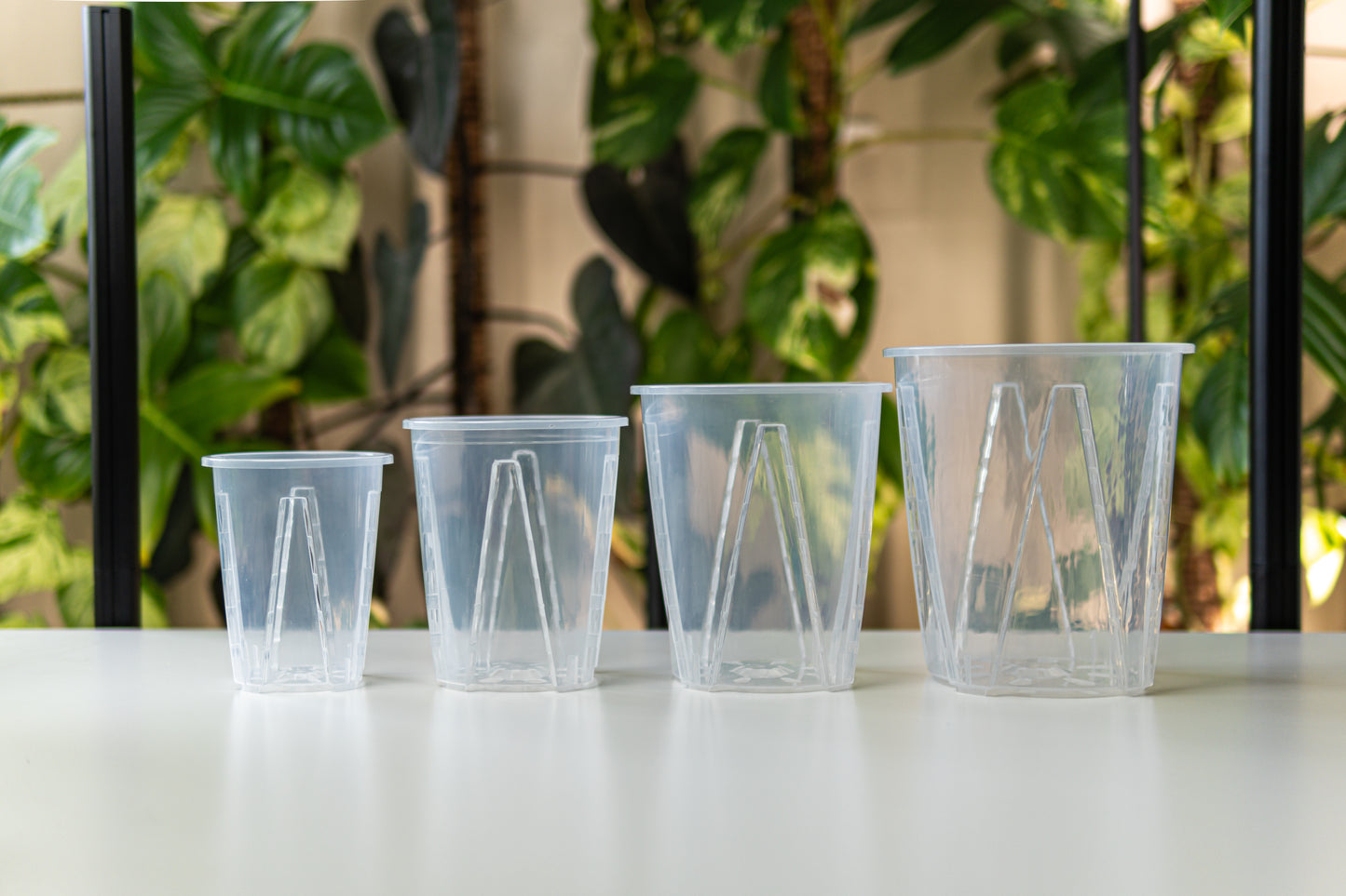 Thick Plastic Transparent Plant Pot, Sets of 5, Small 5.5"