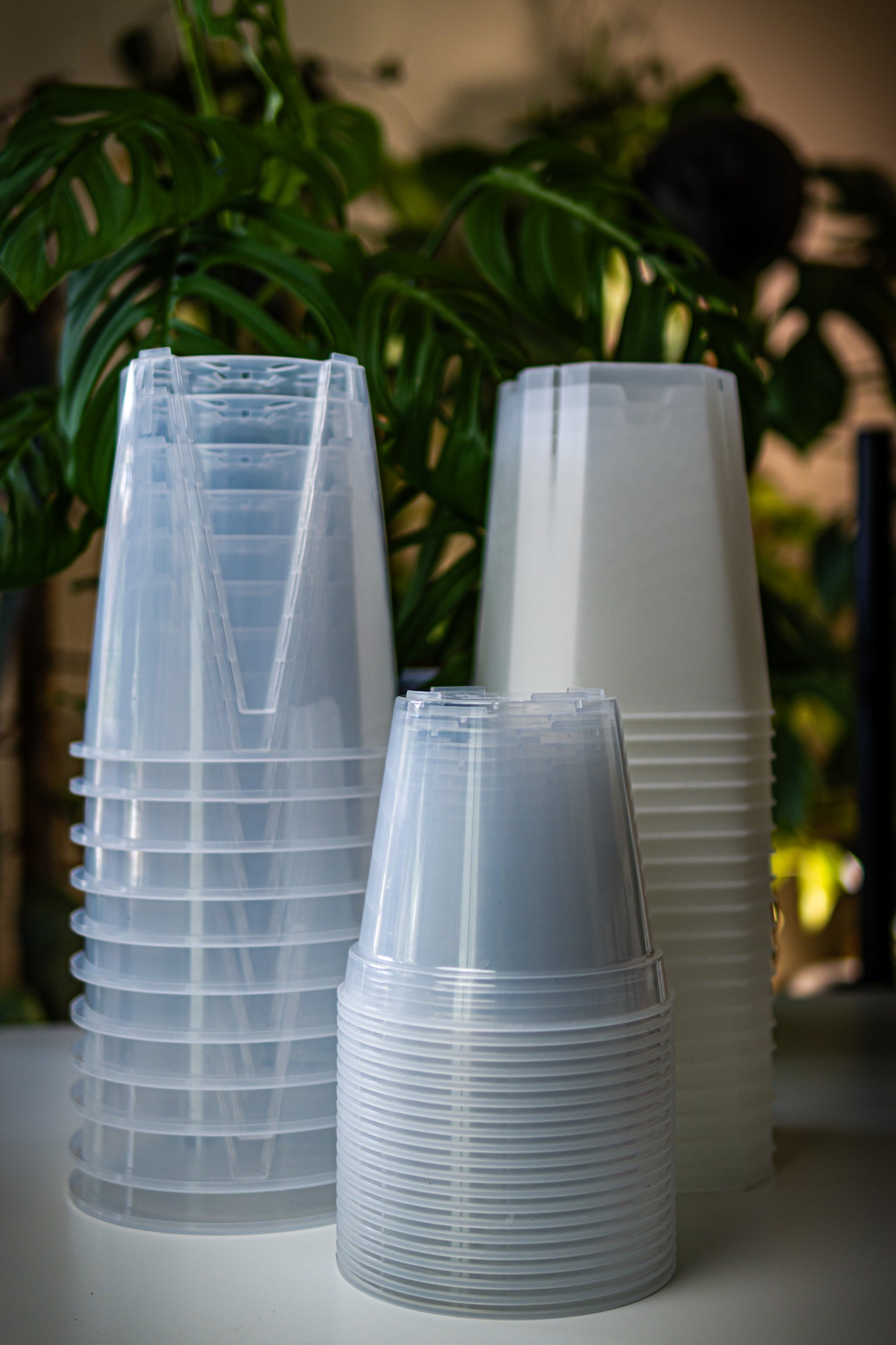 Lightweight Clear Plant Pot, Sets of 10, Sizes 3.5”, 4.7”, 6”