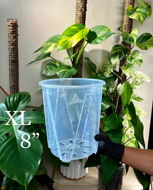 Thick Plastic Transparent Plant Pot, Sets of 3, 8”