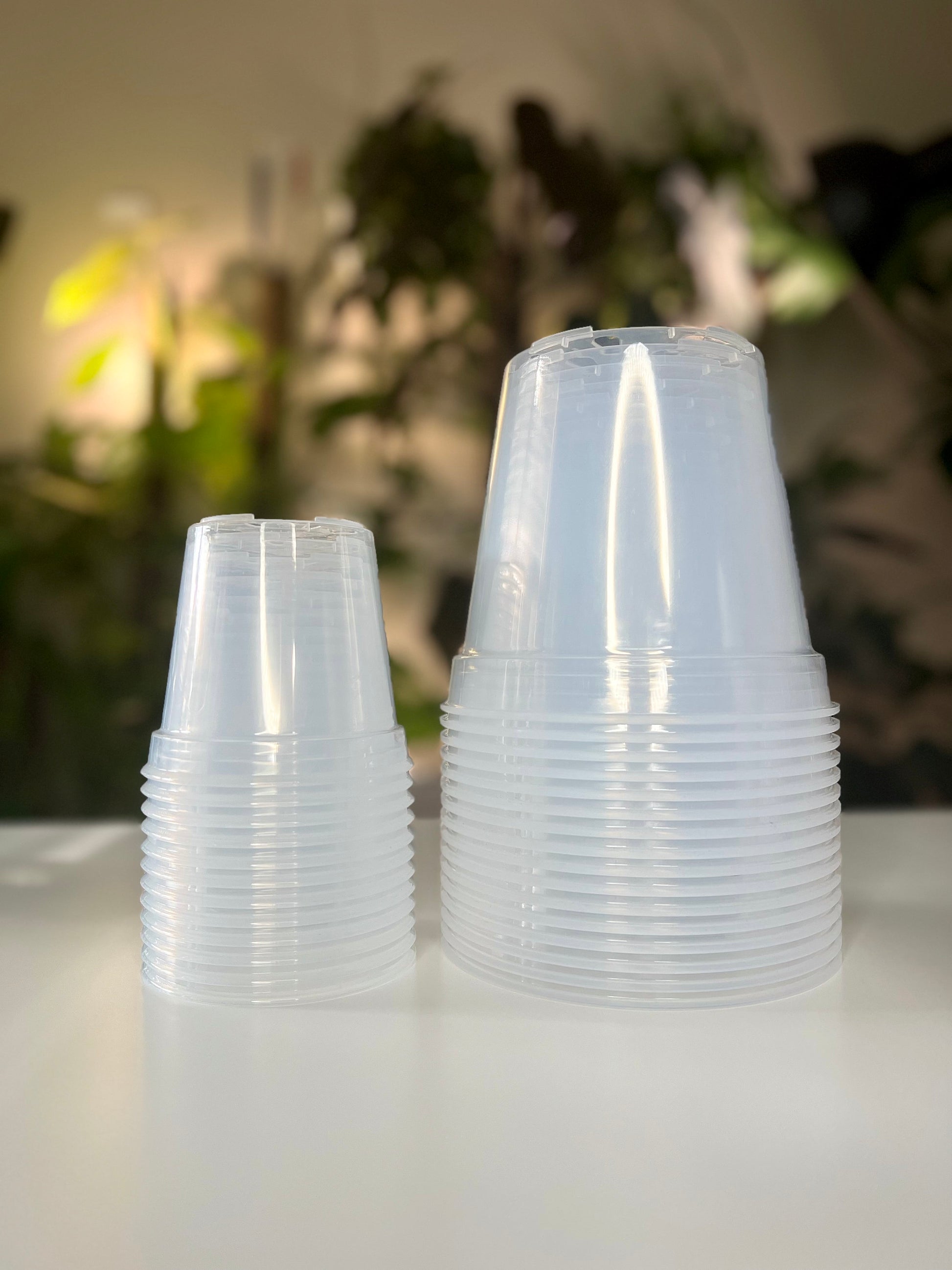 clear plastic for plants Plastic Transparent Plant Pot, Set of 5, 6" – Plant Loving J
