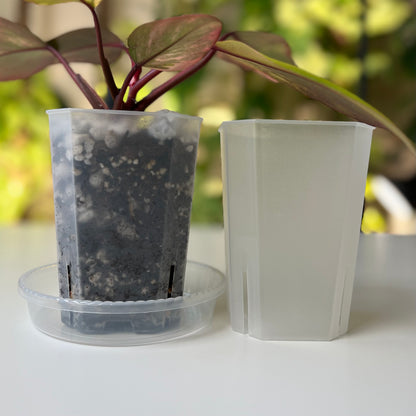 clear planter pot Lightweight Clear Plant Pot, Sets of 10, Sizes 3.5”, 4.7”, 6” – Plant Loving J