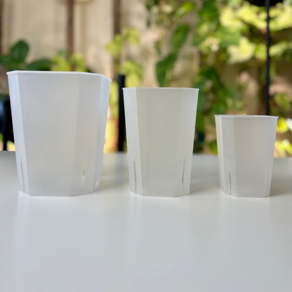 Lightweight Clear Plant Pot, Sets of 10, Sizes 3.5”, 4.7”, 6”